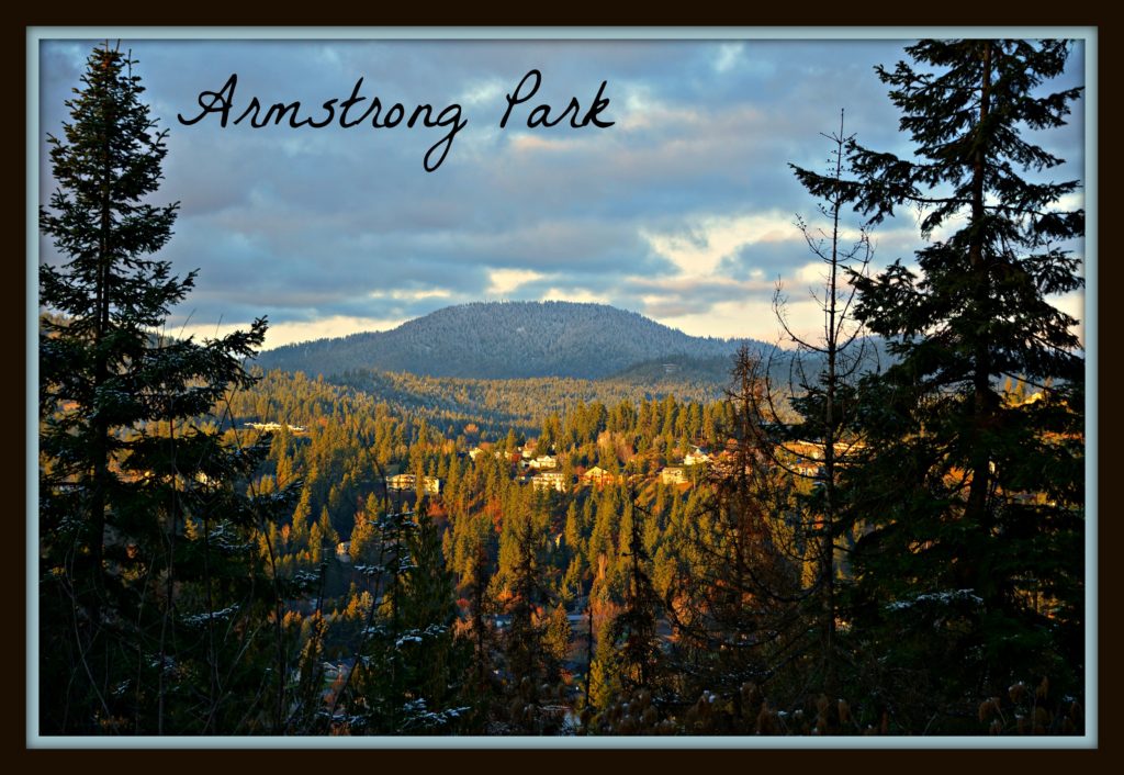 Armstrong Park Homes for sale