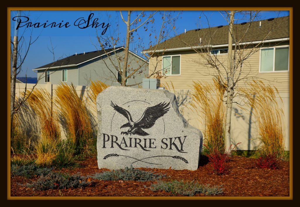 Prairie Sky Rathdrum Idaho Homes for sale and past home sales.