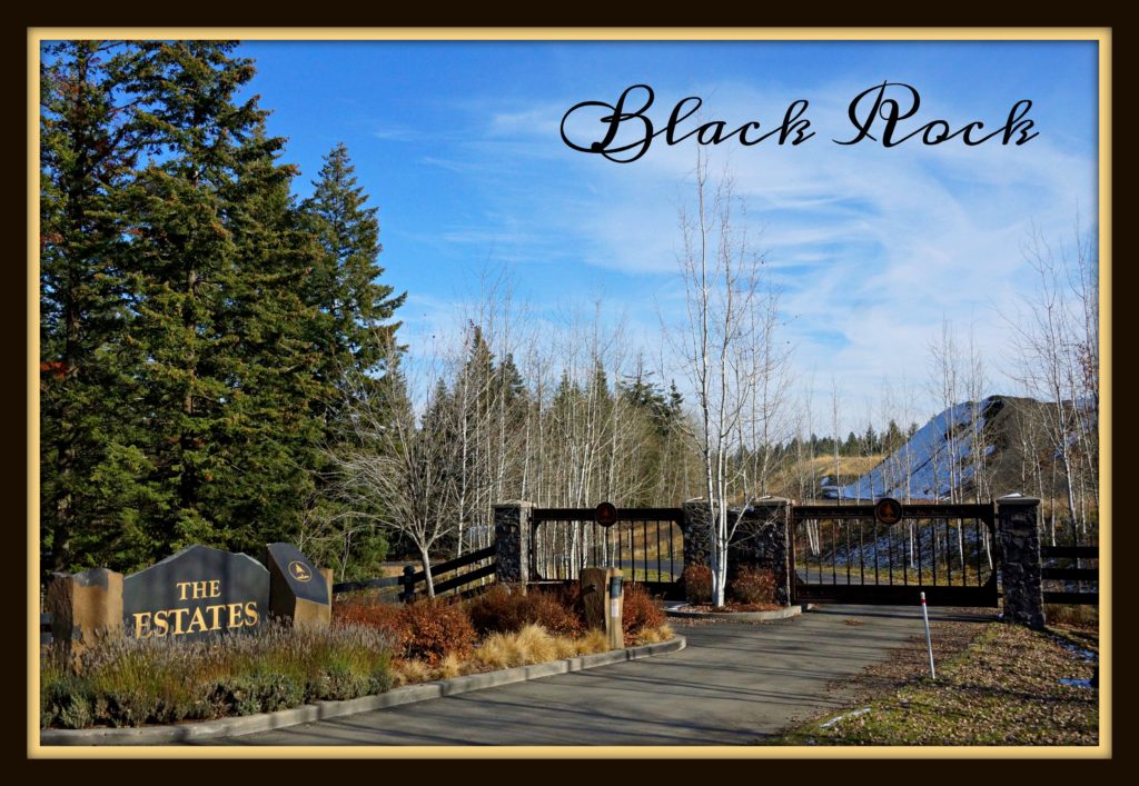 Black Rock Homes for sale