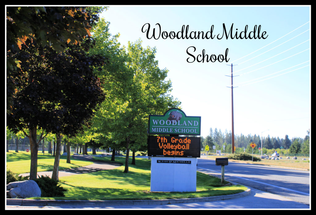 Homes for sale in the Woodland Middle School Zone CDA Idaho