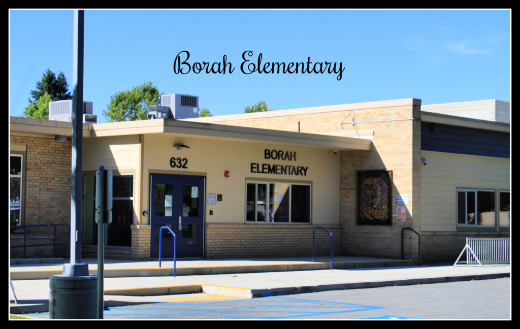 Homes for sale by Borah Elementary
