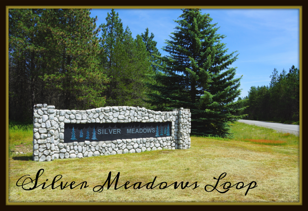 Silver Meadows Loop