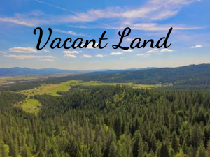 Vacant Land Real Estate
