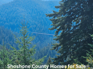 Photo from the Hiawatha trail Shoshone County Homes for Sale